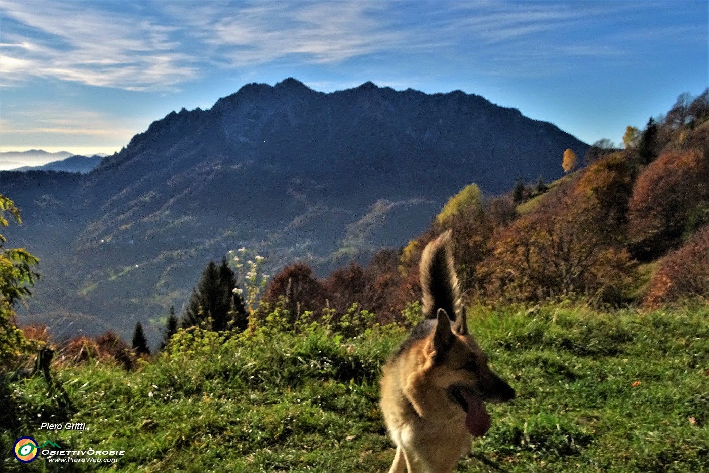 19 Dalla Cascina Mattuida vista in Alben.JPG